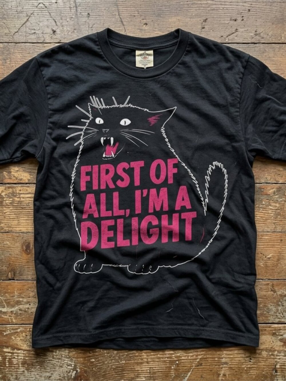 Funny Black Cat Graphic Tee First Of All Im A Delight Vintage Humor Shirt